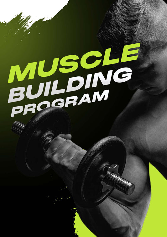Muscle Building Program